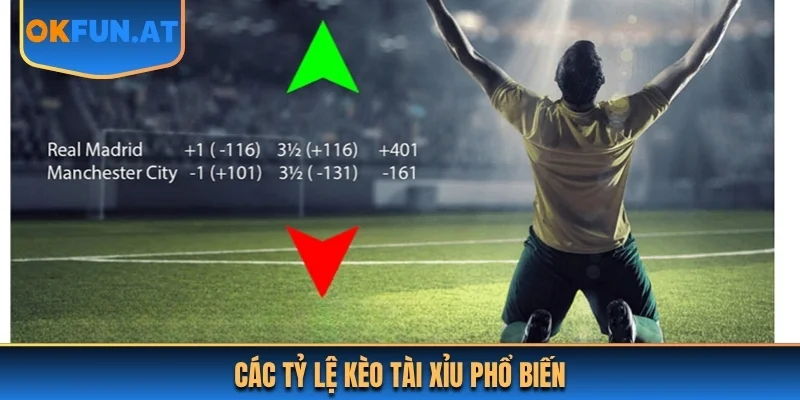 Các tỷ lệ kèo tài xỉu phổ biến